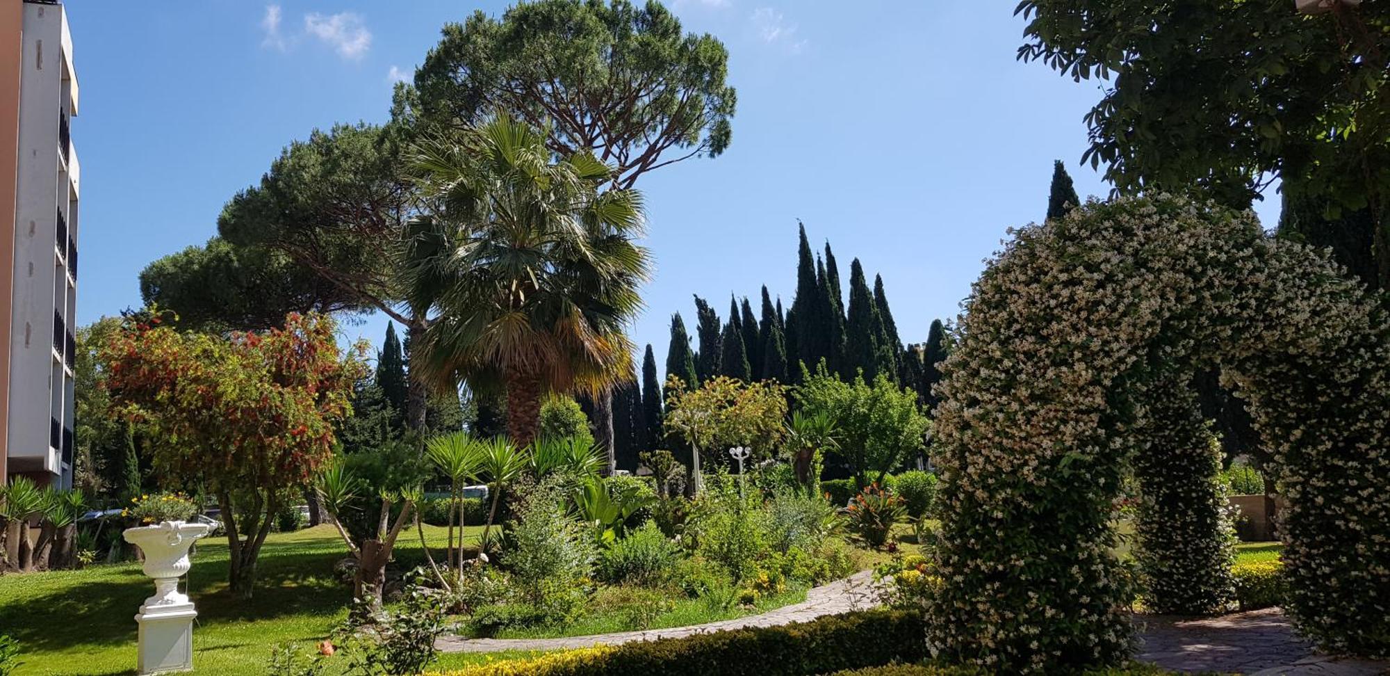 Oasis * Roma